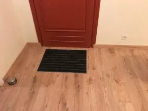 Artisan peintre l'isle-jourdain 3 - Medale Peinture parquet sur carrelage à Frégouville (32490) : entrée finie, parquet flottant chêne et tapis de propreté incrusté devant la porte